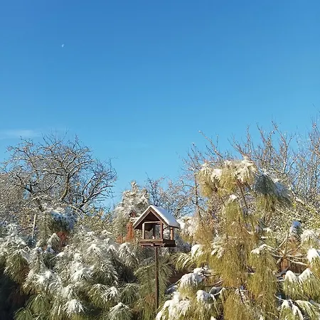 Bydleni Na Zahradni * Krelov